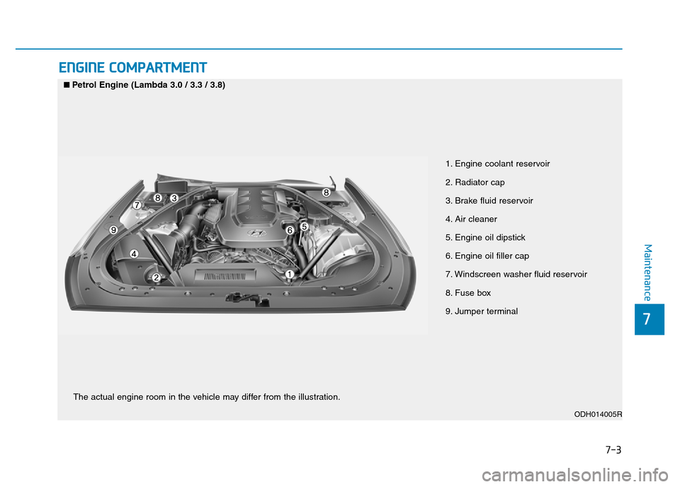 Hyundai Genesis 2016 Owners Manual - RHD (UK, Australia) 7-3
7
Maintenance
ENGINE COMPARTMENT
1. Engine coolant reservoir
2. Radiator cap
3. Brake fluid reservoir
4. Air cleaner
5. Engine oil dipstick
6. Engine oil filler cap
7. Windscreen washer fluid res Hyundai Genesis 2016 Owners Manual - RHD (UK, Australia) 7-3
7
Maintenance
ENGINE COMPARTMENT
1. Engine coolant reservoir
2. Radiator cap
3. Brake fluid reservoir
4. Air cleaner
5. Engine oil dipstick
6. Engine oil filler cap
7. Windscreen washer fluid res