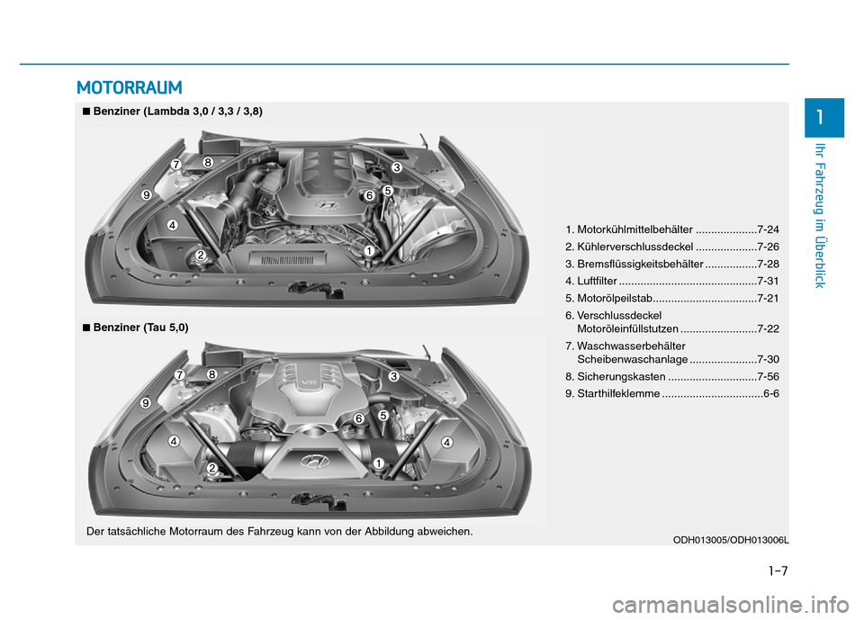 Hyundai Genesis 2016 Betriebsanleitung (in German) 1-7
Ihr Fahrzeug im Überblick
1
MOTORRAUM
1. Motorkühlmittelbehälter ....................7-24
2. Kühlerverschlussdeckel ....................7-26
3. Bremsflüssigkeitsbehälter .................7-2 Hyundai Genesis 2016 Betriebsanleitung (in German) 1-7
Ihr Fahrzeug im Überblick
1
MOTORRAUM
1. Motorkühlmittelbehälter ....................7-24
2. Kühlerverschlussdeckel ....................7-26
3. Bremsflüssigkeitsbehälter .................7-2