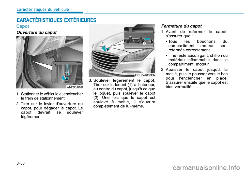Hyundai Genesis 2016 Manuel du propriétaire (in French) 3-50
Caractéristiques du véhicule
CARACTÉRISTIQUES EXTÉRIEURES
Capot
Ouverture du capot
1. Stationner le véhicule et enclencherle frein de stationnement.
2. Tirer sur le levier douverture du ca Hyundai Genesis 2016 Manuel du propriétaire (in French) 3-50
Caractéristiques du véhicule
CARACTÉRISTIQUES EXTÉRIEURES
Capot
Ouverture du capot
1. Stationner le véhicule et enclencherle frein de stationnement.
2. Tirer sur le levier douverture du ca