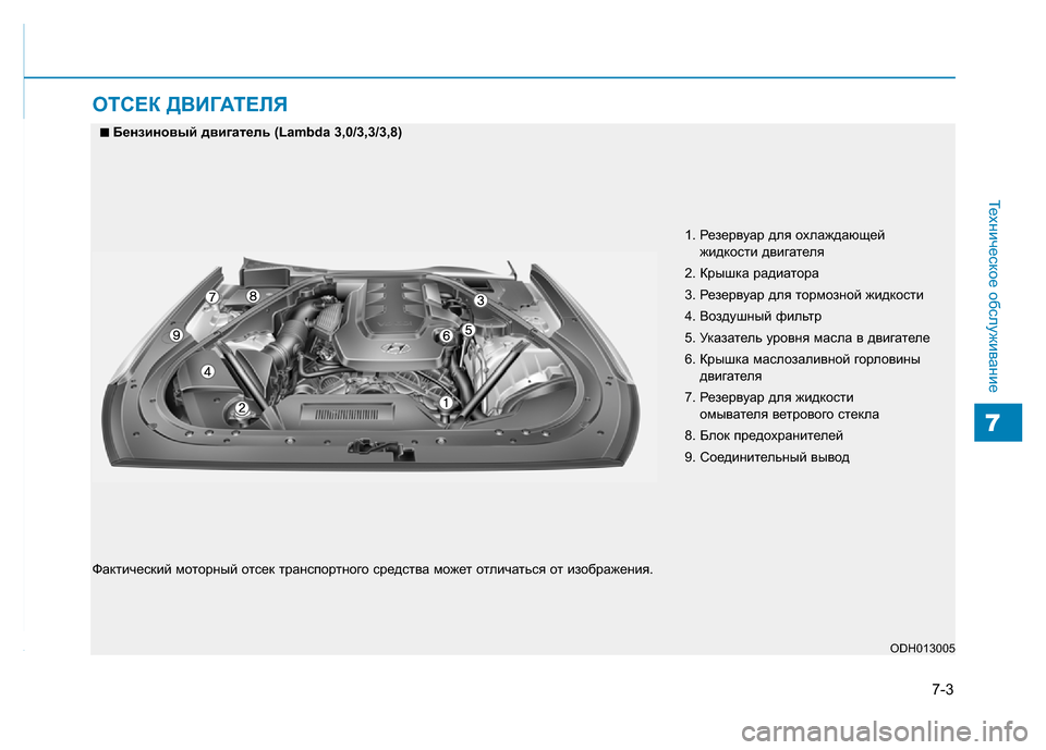 Hyundai Genesis 2016 Инструкция по эксплуатации (in Russian) 7-3
Техническое обслуживание
7
ОТСЕК ДВИГАТЕЛЯ
1. Резервуар для охлаждающей
жидкости двигателя
2. Крышка радиа Hyundai Genesis 2016 Инструкция по эксплуатации (in Russian) 7-3
Техническое обслуживание
7
ОТСЕК ДВИГАТЕЛЯ
1. Резервуар для охлаждающей
жидкости двигателя
2. Крышка радиа