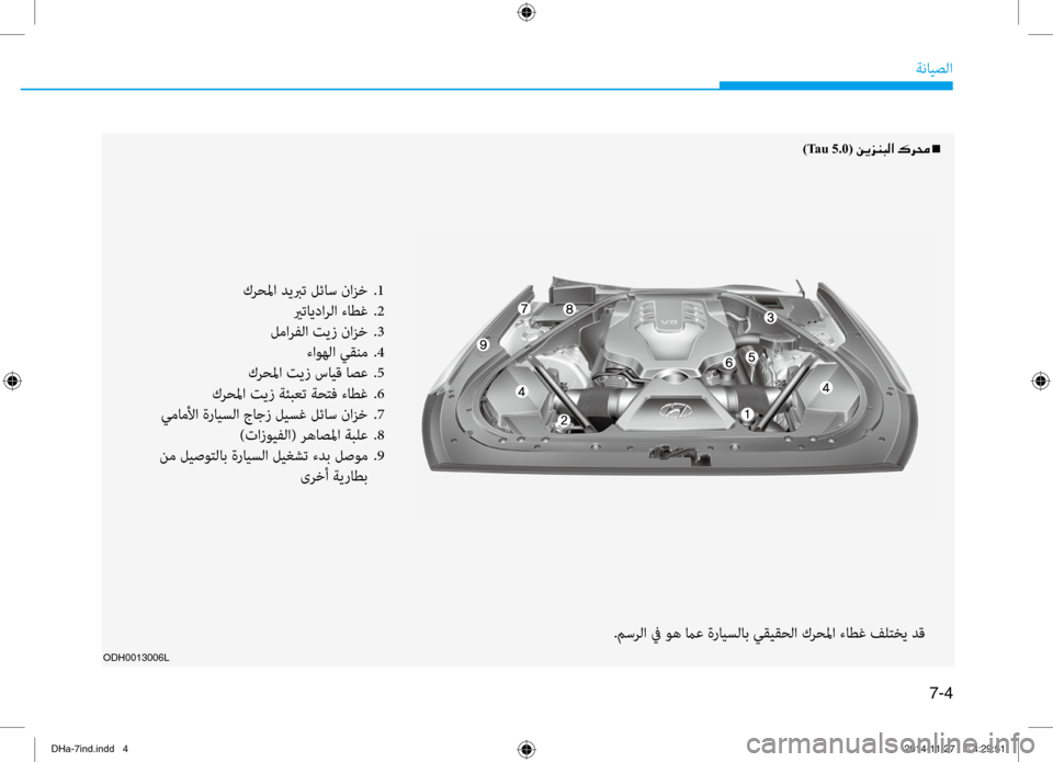 Hyundai Genesis 2016 دليل المالك 7-4
ةنايصلا
ODH0013006L
)Tau 5.0( 00C200CA006A00C1004800B8003F001E00B700680088001En
كرحلما ديبرت لئاس نازخ
.1
يرتايدارلا ءاطغ
.2
لمارفلا تيز نا Hyundai Genesis 2016 دليل المالك 7-4
ةنايصلا
ODH0013006L
)Tau 5.0( 00C200CA006A00C1004800B8003F001E00B700680088001En
كرحلما ديبرت لئاس نازخ
.1
يرتايدارلا ءاطغ
.2
لمارفلا تيز نا