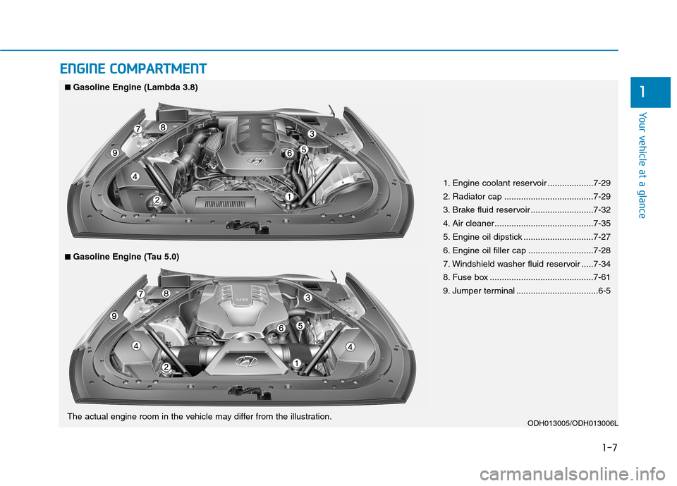 Hyundai Genesis 2015 Owners Guide 1-7
Your vehicle at a glance
1
E EN
NG
GI
IN
NE
E
C
CO
OM
MP
PA
AR
RT
TM
ME
EN
NT
T
1. Engine coolant reservoir ...................7-29
2. Radiator cap .....................................7-29
3. B Hyundai Genesis 2015 Owners Guide 1-7
Your vehicle at a glance
1
E EN
NG
GI
IN
NE
E
C
CO
OM
MP
PA
AR
RT
TM
ME
EN
NT
T
1. Engine coolant reservoir ...................7-29
2. Radiator cap .....................................7-29
3. B