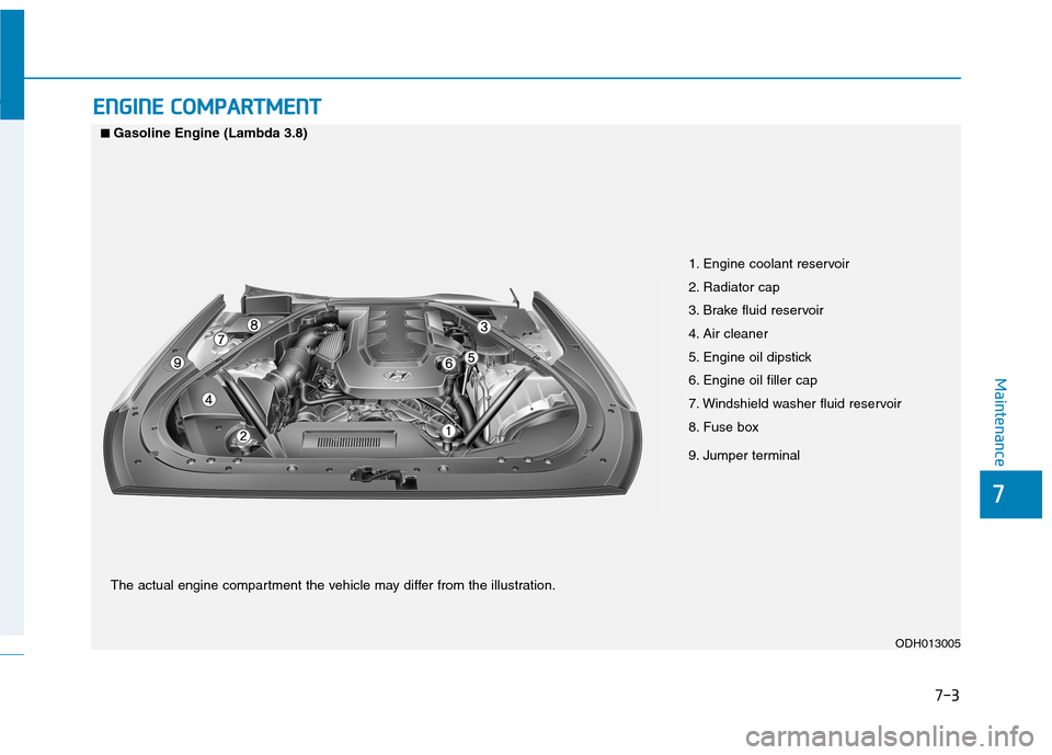 Hyundai Genesis 2015  Owners Manual 7-3
7
Maintenance
E EN
NG
GI
IN
NE
E 
 C
CO
OM
MP
PA
AR
RT
TM
ME
EN
NT
T 
 
1. Engine coolant reservoir
2. Radiator cap
3. Brake fluid reservoir
4. Air cleaner
5. Engine oil dipstick
6. Engine oil fil