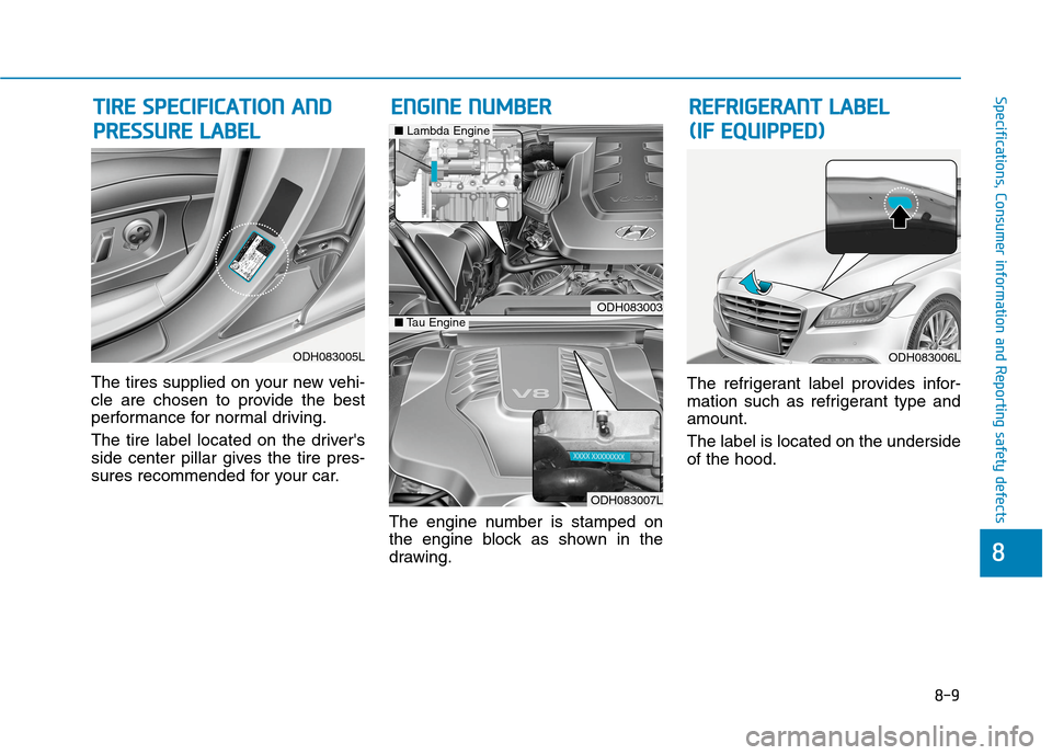 Hyundai Genesis 2015  Owners Manual 8-9
88
Specifications, Consumer information and Reporting safety defects
The tires supplied on your new vehi-
cle are chosen to provide the best
performance for normal driving.
The tire label located 