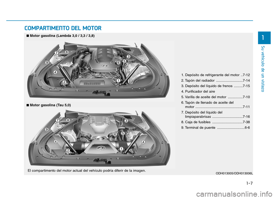 Hyundai Genesis 2015 Manual del propietario (in Spanish) 1-7
Su vehículo de un vistazo
1
COMPARTIMENTO DEL MOTOR
1. Depósito de refrigerante del motor ..7-12
2. Tapón del radiador ...........................7-14
3. Depósito del líquido de frenos ... Hyundai Genesis 2015 Manual del propietario (in Spanish) 1-7
Su vehículo de un vistazo
1
COMPARTIMENTO DEL MOTOR
1. Depósito de refrigerante del motor ..7-12
2. Tapón del radiador ...........................7-14
3. Depósito del líquido de frenos ...