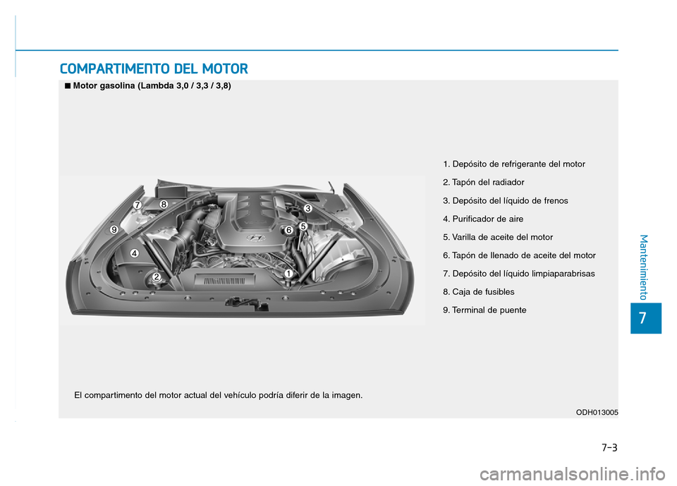 Hyundai Genesis 2015  Manual del propietario (in Spanish) 7-3
7
Mantenimiento
COMPARTIMENTO DEL MOTOR 
1. Depósito de refrigerante del motor 
2. Tapón del radiador 
3. Depósito del líquido de frenos 
4. Purificador de aire 
5. Varilla de aceite del motor