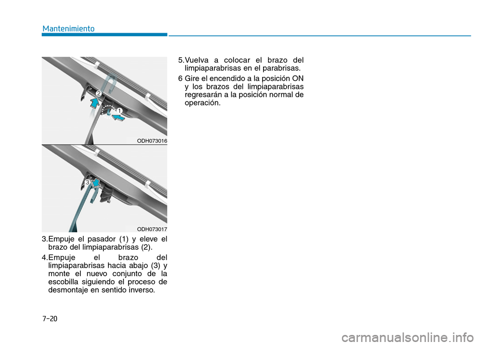 Hyundai Genesis 2015  Manual del propietario (in Spanish) 3.Empuje el pasador (1) y eleve elbrazo del limpiaparabrisas (2).
4.Empuje el brazo del limpiaparabrisas hacia abajo (3) y
monte el nuevo conjunto de la
escobilla siguiendo el proceso de
desmontaje en