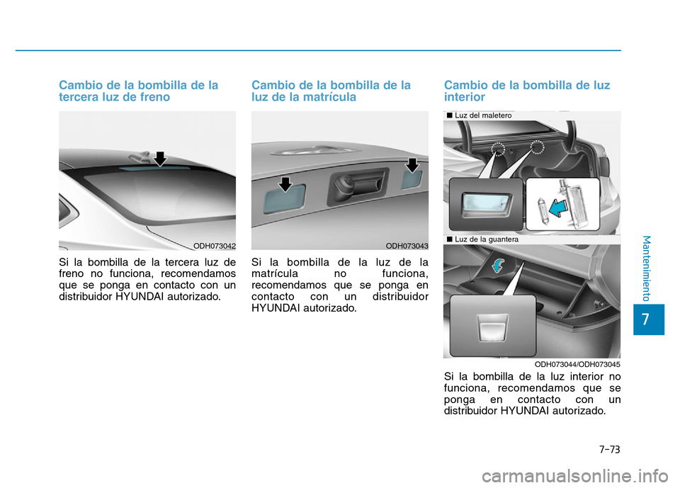 Hyundai Genesis 2015  Manual del propietario (in Spanish) 7-73
7
Mantenimiento
Cambio de la bombilla de la
tercera luz de freno 
Si la bombilla de la tercera luz de
freno no funciona, recomendamos
que se ponga en contacto con un
distribuidor HYUNDAI autoriza