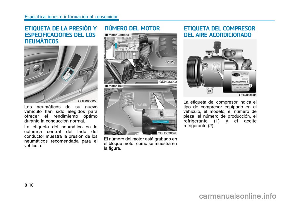 Hyundai Genesis 2015 Manual del propietario (in Spanish) 8-10
Especificaciones e información al consumidor
Los neumáticos de su nuevo
vehículo han sido elegidos para
ofrecer el rendimiento óptimo
durante la conducción normal.
La etiqueta del neumático Hyundai Genesis 2015 Manual del propietario (in Spanish) 8-10
Especificaciones e información al consumidor
Los neumáticos de su nuevo
vehículo han sido elegidos para
ofrecer el rendimiento óptimo
durante la conducción normal.
La etiqueta del neumático