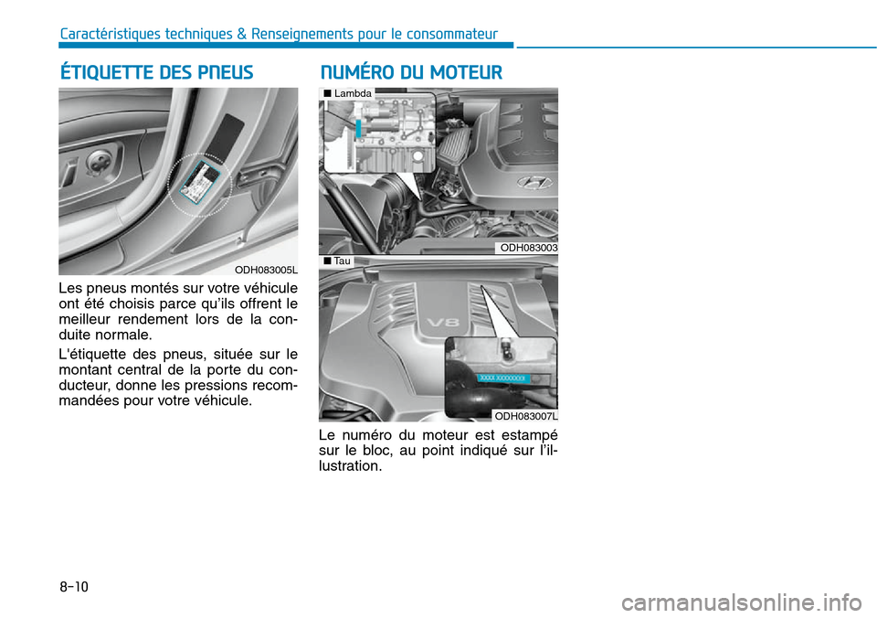 Hyundai Genesis 2015 Manuel du propriétaire (in French) Les pneus montés sur votre véhicule
ont été choisis parce qu’ils offrent le
meilleur rendement lors de la con-
duite normale.
Létiquette des pneus, située sur le
montant central de la porte d Hyundai Genesis 2015 Manuel du propriétaire (in French) Les pneus montés sur votre véhicule
ont été choisis parce qu’ils offrent le
meilleur rendement lors de la con-
duite normale.
Létiquette des pneus, située sur le
montant central de la porte d