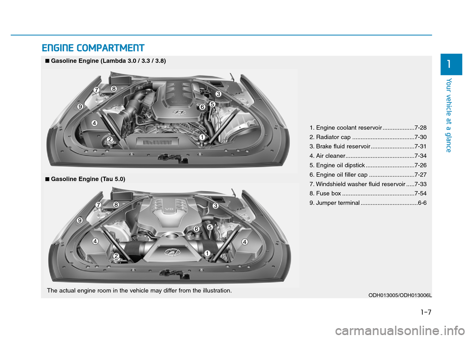 Hyundai Genesis 2014  Owners Manual 1-7
Your vehicle at a glance
1
ENGINE COMPARTMENT
1. Engine coolant reservoir ...................7-28
2. Radiator cap .....................................7-30
3. Brake fluid reservoir ...............