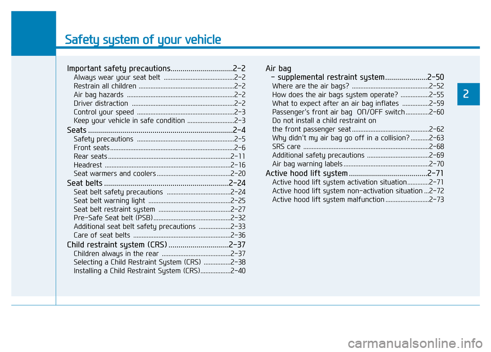Hyundai Genesis 2014 User Guide Safety system of your vehicle
2
Important safety precautions...............................2-2
Always wear your seat belt ..........................................2-2
Restrain all children ......... Hyundai Genesis 2014 User Guide Safety system of your vehicle
2
Important safety precautions...............................2-2
Always wear your seat belt ..........................................2-2
Restrain all children .........