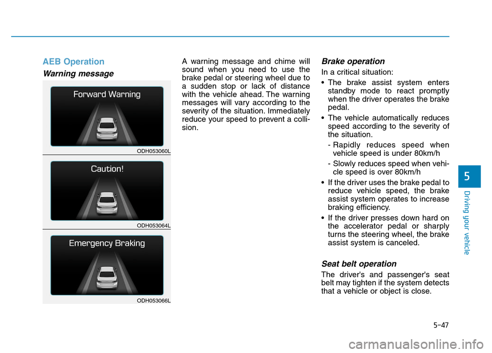 Hyundai Genesis 2014 Owners Manual 5-47
Driving your vehicle
5
AEB Operation
Warning message
A warning message and chime will
sound when you need to use the
brake pedal or steering wheel due to
a sudden stop or lack of distance
with th Hyundai Genesis 2014 Owners Manual 5-47
Driving your vehicle
5
AEB Operation
Warning message
A warning message and chime will
sound when you need to use the
brake pedal or steering wheel due to
a sudden stop or lack of distance
with th