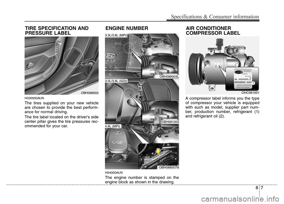 Hyundai Genesis 2012  Owners Manual 87
Specifications & Consumer information
H030000AUN
The tires supplied on your new vehicle
are chosen to provide the best perform-
ance for normal driving.
The tire label located on the drivers side
