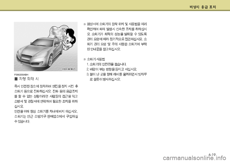 Hyundai Genesis Coupe 2011  제네시스 쿠페 BK - 사용 설명서 (in Korean) 6-19
F090200ABH  