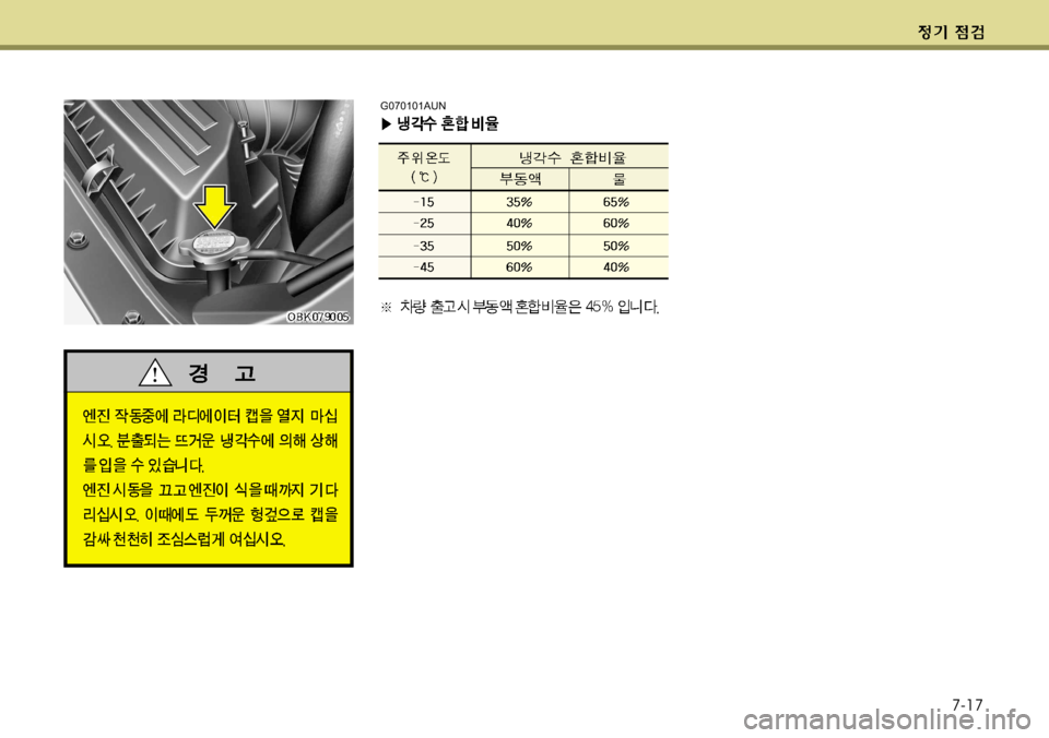Hyundai Genesis Coupe 2011  제네시스 쿠페 BK - 사용 설명서 (in Korean) 7-17
G070101AUN  