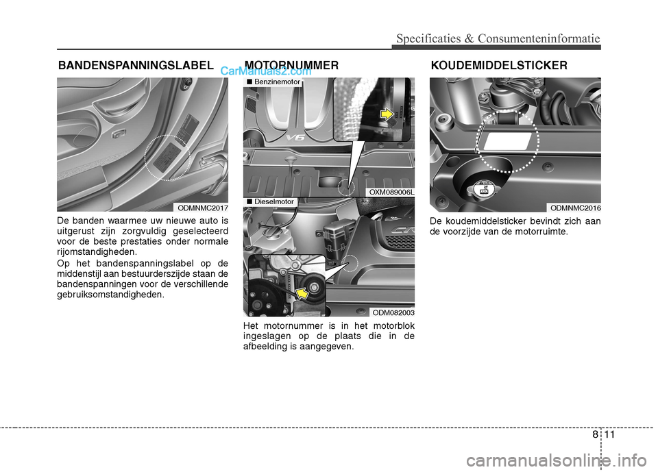 Hyundai Grand Santa Fe 2015 Handleiding (in Dutch) 811
Specificaties & Consumenteninformatie
De banden waarmee uw nieuwe auto is
uitgerust zijn zorgvuldig geselecteerd
voor de beste prestaties onder normale
rijomstandigheden. Op het bandenspanningsla Hyundai Grand Santa Fe 2015 Handleiding (in Dutch) 811
Specificaties & Consumenteninformatie
De banden waarmee uw nieuwe auto is
uitgerust zijn zorgvuldig geselecteerd
voor de beste prestaties onder normale
rijomstandigheden. Op het bandenspanningsla