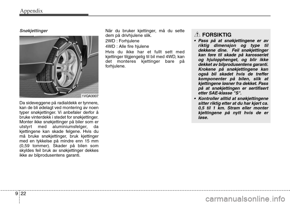Hyundai Grand Santa Fe 2013  Owners Manual Appendix
22 9
Snøkjettinger 
Da sideveggene på radialdekk er tynnere,
kan de bli ødelagt ved montering av noen
typer snøkjettinger. Vi anbefaler derfor å
bruke vinterdekk i stedet for snøkjettin