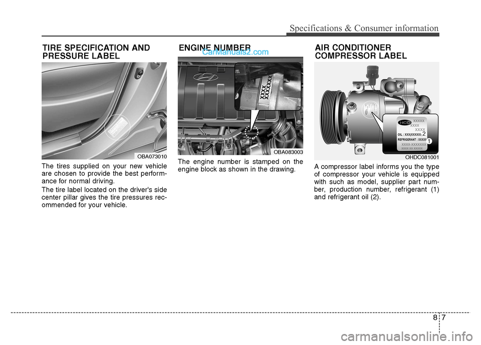 Hyundai Grand i10 2015  Owners Manual 87
Specifications & Consumer information
The tires supplied on your new vehicle 
are chosen to provide the best perform-
ance for normal driving. 
The tire label located on the drivers side 
center p