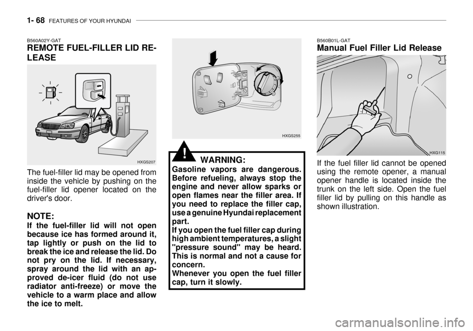 Hyundai Grandeur 2003 User Guide 1- 68  FEATURES OF YOUR HYUNDAI
HXGS255
WARNING:
Gasoline vapors are dangerous. Before refueling, always stop the engine and never allow sparks or open flames near the filler area. Ifyou need to repla