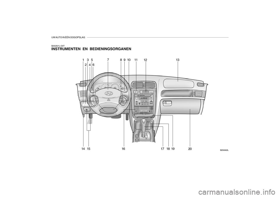 Hyundai Grandeur 2003  Handleiding (in Dutch) UW AUTO IN ÉÉN OOGOPSLAG
B250A01L-GXT INSTRUMENTEN EN BEDIENINGSORGANENB250A02L
1
3
4 5
6 7
8910
11
12 13
14
15 16 17 18 19
2 20  