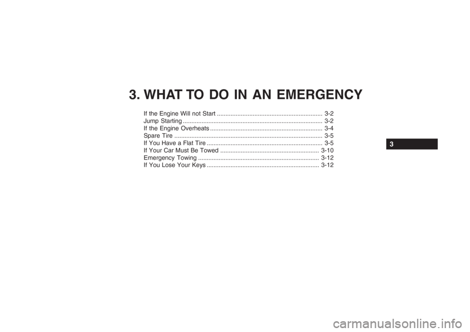 Hyundai Grandeur 2002  Owners Manual 3. WHAT TO DO IN AN EMERGENCY
If the Engine Will not Start .............................................................. 3-2 
Jump Starting ...........................................................