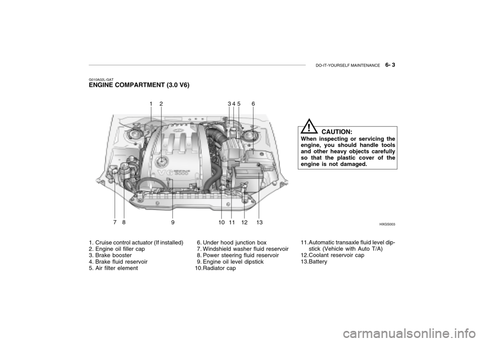 Hyundai Grandeur 2002  Owners Manual DO-IT-YOURSELF MAINTENANCE    6- 3
G010A02L-GAT
ENGINE COMPARTMENT (3.0 V6)
HXGS003
164
7891011 1213
1. Cruise control actuator (If installed) 
2. Engine oil filler cap 
3. Brake booster 
4. Brake flu