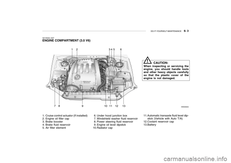 Hyundai Grandeur 2002 Owners Manual DO-IT-YOURSELF MAINTENANCE 6- 3
G010A02L-GAT
ENGINE COMPARTMENT (3.0 V6)
HXGS003
164
7891011 1213
1. Cruise control actuator (If installed)
2. Engine oil filler cap
3. Brake booster
4. Brake flu Hyundai Grandeur 2002 Owners Manual DO-IT-YOURSELF MAINTENANCE 6- 3
G010A02L-GAT
ENGINE COMPARTMENT (3.0 V6)
HXGS003
164
7891011 1213
1. Cruise control actuator (If installed)
2. Engine oil filler cap
3. Brake booster
4. Brake flu