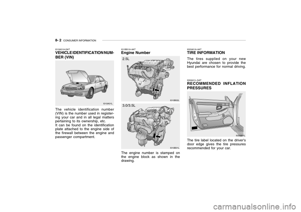 Hyundai Grandeur 2002  Owners Manual 8- 2  CONSUMER INFORMATION
I010B01A-AAT
Engine Number
I010A01A-GAT VEHICLE IDENTIFICATION NUM- BER (VIN) The vehicle identification number (VIN) is the number used in register-ing your car and in all 