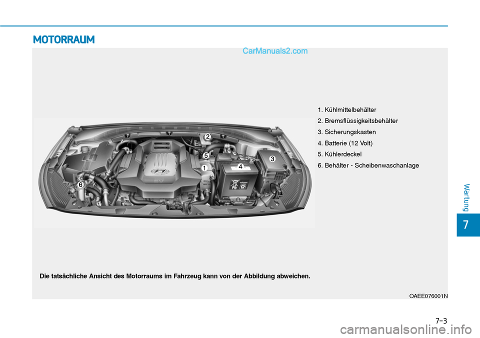 Hyundai Ioniq 2019 Betriebsanleitung (in German) 7-3
7
Wartung
MOTORRAUM
OAEE076001N
1. Kühlmittelbehälter
2. Bremsflüssigkeitsbehälter
3. Sicherungskasten
4. Batterie (12 Volt)
5. Kühlerdeckel
6. Behälter - Scheibenwaschanlage
Die tatsächlic Hyundai Ioniq 2019 Betriebsanleitung (in German) 7-3
7
Wartung
MOTORRAUM
OAEE076001N
1. Kühlmittelbehälter
2. Bremsflüssigkeitsbehälter
3. Sicherungskasten
4. Batterie (12 Volt)
5. Kühlerdeckel
6. Behälter - Scheibenwaschanlage
Die tatsächlic