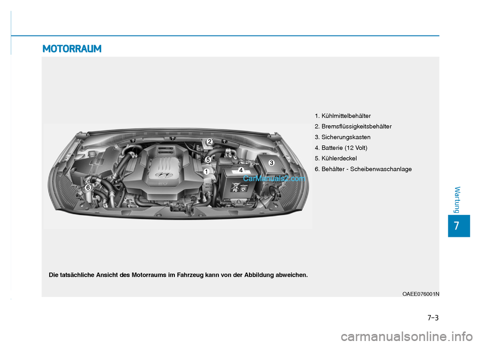 Hyundai Ioniq 2018 Betriebsanleitung (in German) 7-3
7
Wartung
MOTORRAUM
OAEE076001N
1. Kühlmittelbehälter
2. Bremsflüssigkeitsbehälter
3. Sicherungskasten
4. Batterie (12 Volt)
5. Kühlerdeckel
6. Behälter - Scheibenwaschanlage
Die tatsächlic Hyundai Ioniq 2018 Betriebsanleitung (in German) 7-3
7
Wartung
MOTORRAUM
OAEE076001N
1. Kühlmittelbehälter
2. Bremsflüssigkeitsbehälter
3. Sicherungskasten
4. Batterie (12 Volt)
5. Kühlerdeckel
6. Behälter - Scheibenwaschanlage
Die tatsächlic