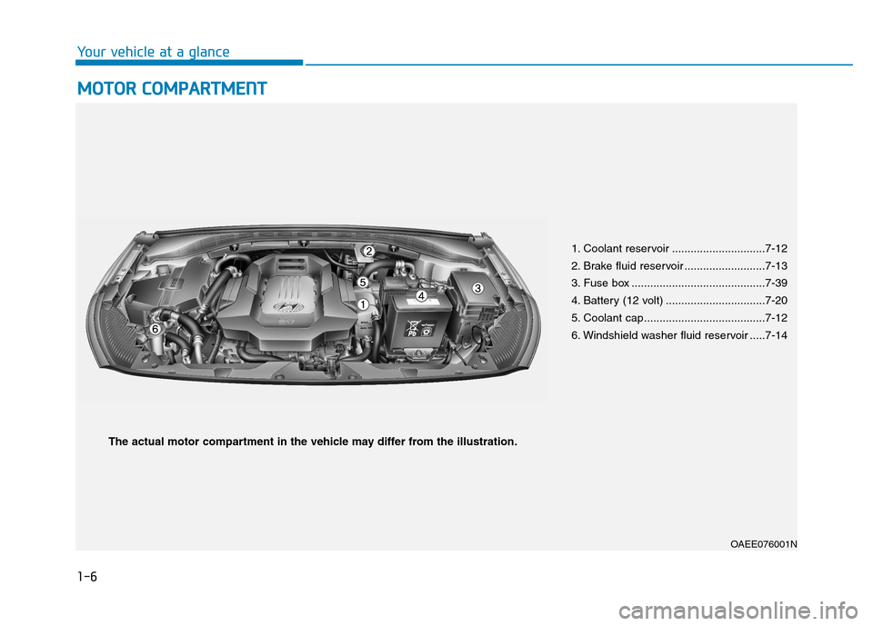 Hyundai Ioniq Electric 2020  Owners Manual 1-6
Your vehicle at a glance
M MO
OT
TO
OR
R 
 C
CO
OM
MP
PA
AR
RT
TM
ME
EN
NT
T
1. Coolant reservoir ..............................7-12
2. Brake fluid reservoir ..........................7-13
3. Fuse