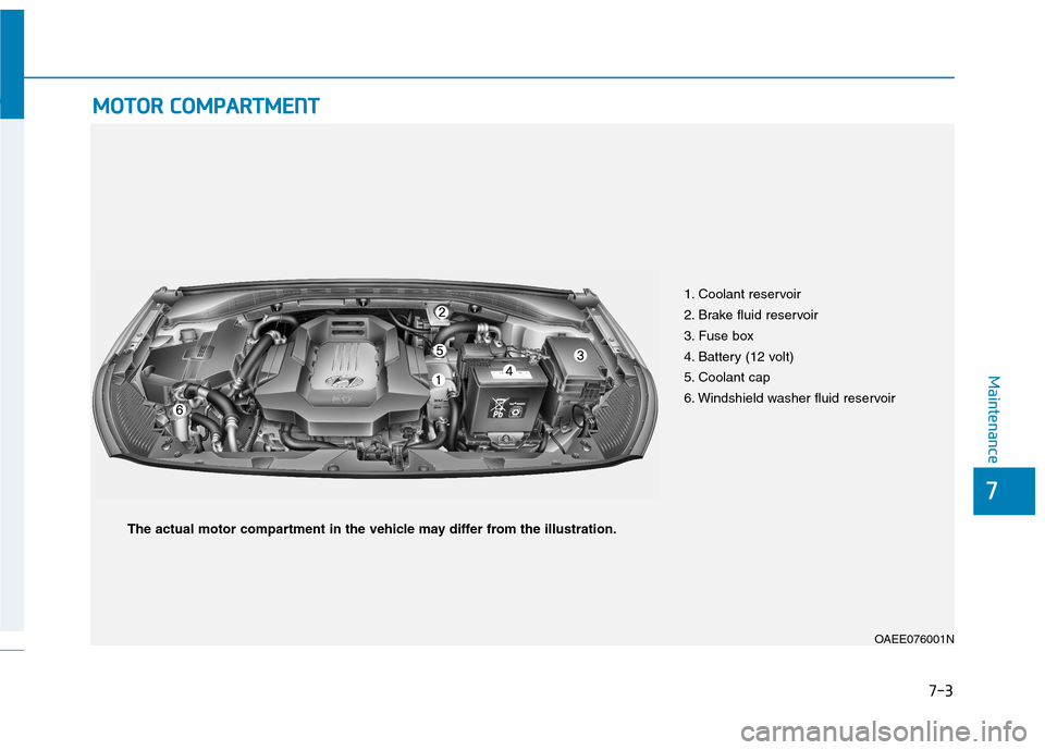 Hyundai Ioniq Electric 2020  Owners Manual 7-3
7
Maintenance
M MO
OT
TO
OR
R 
 C
CO
OM
MP
PA
AR
RT
TM
ME
EN
NT
T 
 
1. Coolant reservoir
2. Brake fluid reservoir
3. Fuse box
4. Battery (12 volt) 
5. Coolant cap
6. Windshield washer fluid reser