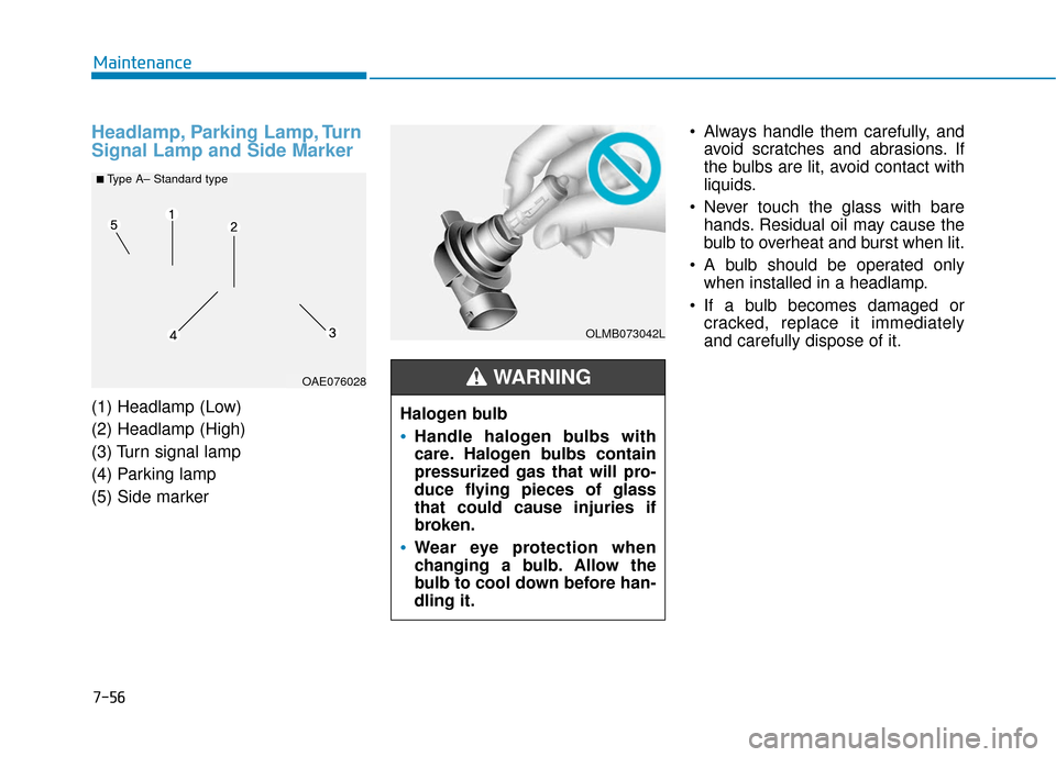 Hyundai Ioniq Electric 2019 Owners Manual 7-56
Maintenance
Headlamp, Parking Lamp, Turn
Signal Lamp and Side Marker
(1) Headlamp (Low)
(2) Headlamp (High)
(3) Turn signal lamp
(4) Parking lamp
(5) Side marker Always handle them carefully, and Hyundai Ioniq Electric 2019 Owners Manual 7-56
Maintenance
Headlamp, Parking Lamp, Turn
Signal Lamp and Side Marker
(1) Headlamp (Low)
(2) Headlamp (High)
(3) Turn signal lamp
(4) Parking lamp
(5) Side marker Always handle them carefully, and