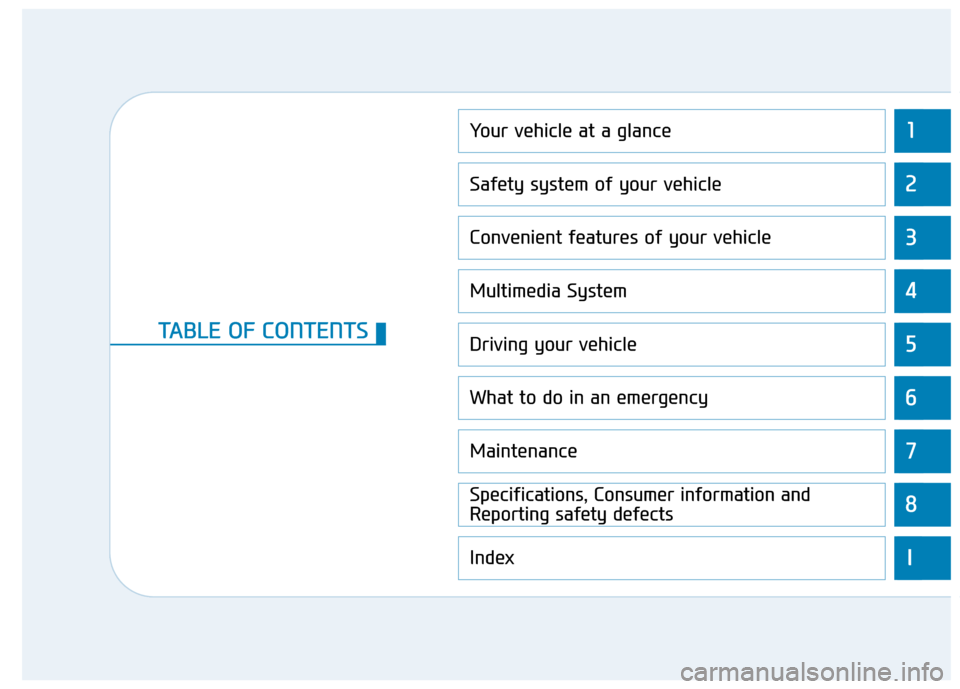 Hyundai Ioniq Electric 2019  Owners Manual 1
2
3
4
5
6
7
8
I
Your vehicle at a glance
Safety system of your vehicle
Convenient features of your vehicle
Multimedia System
Driving your vehicle
What to do in an emergency
Maintenance
Specification