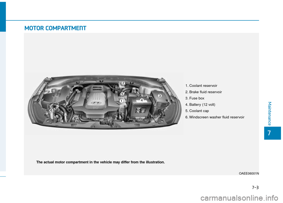 Hyundai Ioniq Electric 2019  Owners Manual - RHD (UK, Australia) 7-3
7
Maintenance
M
MO
OT
TO
O R
R 
 C
C O
O M
M P
PA
A R
RT
TM
M E
EN
N T
T 
 
1. Coolant reservoir
2. Brake fluid reservoir
3. Fuse box
4. Battery (12 volt) 
5. Coolant cap
6. Windscreen washer flui