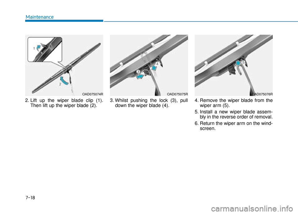 Hyundai Ioniq Electric 2019 Owners Manual - RHD (UK, Australia) 7-18
Maintenance
2. Lift up the wiper blade clip (1). Then lift up the wiper blade (2). 3. Whilst pushing the lock (3), pull
down the wiper blade (4). 4. Remove the wiper blade from the
wiper arm (5). Hyundai Ioniq Electric 2019 Owners Manual - RHD (UK, Australia) 7-18
Maintenance
2. Lift up the wiper blade clip (1). Then lift up the wiper blade (2). 3. Whilst pushing the lock (3), pull
down the wiper blade (4). 4. Remove the wiper blade from the
wiper arm (5).