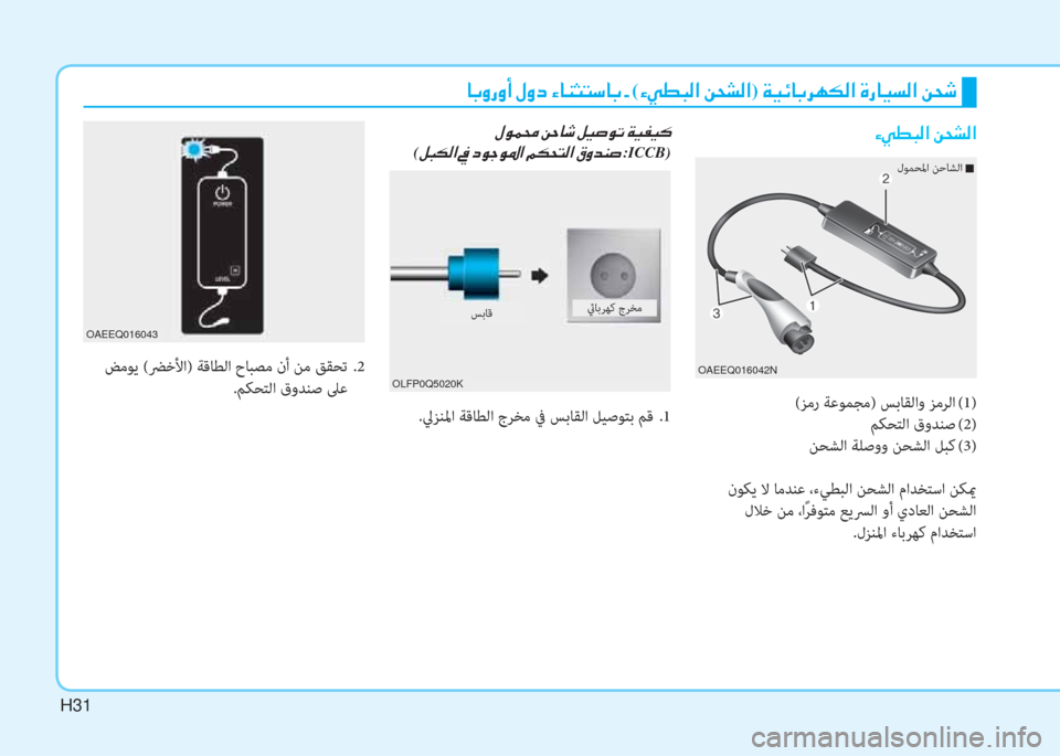 Hyundai Ioniq Electric 2019  دليل المالك H31
(ﺰﻣر ﺔﻋﻮﻤﺠﻣ) ﺲﺑﺎﻘﻟاو ﺰﻣﺮﻟا  (1)
ﻢﻜﺤﺘﻟا قوﺪﻨﺻ  (2)
ﻦﺤﺸﻟا ﺔﻠﺻوو ﻦﺤﺸﻟا ﻞﺒﻛ  (3)
 نﻮﻜﻳ ﻻ ﺎﻣﺪﻨ