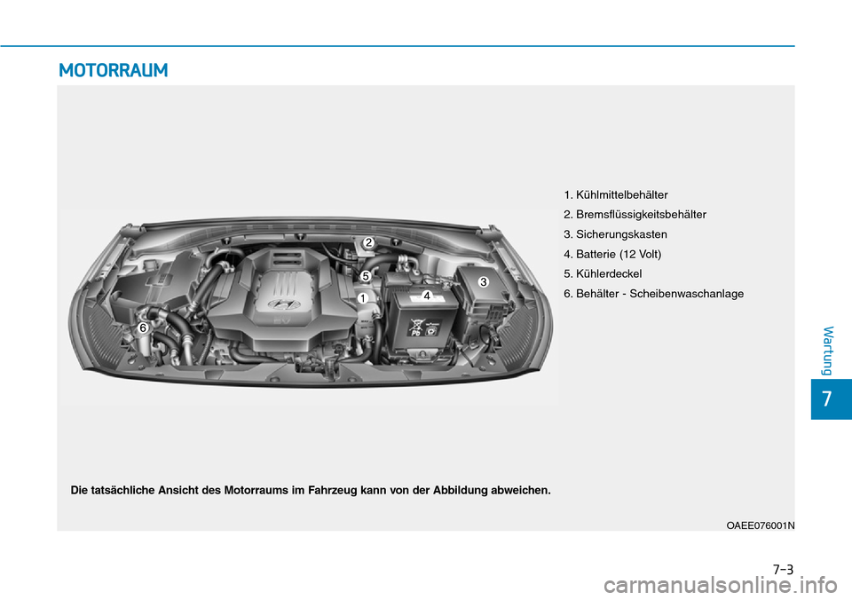 Hyundai Ioniq Electric 2018 Betriebsanleitung 7-3
7
Wartung
MOTORRAUM
OAEE076001N
1. Kühlmittelbehälter
2. Bremsflüssigkeitsbehälter
3. Sicherungskasten
4. Batterie (12 Volt)
5. Kühlerdeckel
6. Behälter - Scheibenwaschanlage
Die tatsächlic Hyundai Ioniq Electric 2018 Betriebsanleitung 7-3
7
Wartung
MOTORRAUM
OAEE076001N
1. Kühlmittelbehälter
2. Bremsflüssigkeitsbehälter
3. Sicherungskasten
4. Batterie (12 Volt)
5. Kühlerdeckel
6. Behälter - Scheibenwaschanlage
Die tatsächlic