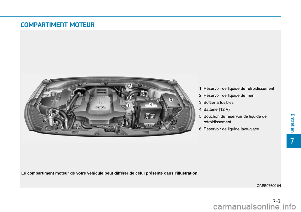 Hyundai Ioniq Electric 2018 Manuel du propriétaire (in French) 7-3
7
Entretien
COMPARTIMENT MOTEUR
1. Réservoir de liquide de refroidissement
2. Réservoir de liquide de frein
3. Boîtier à fusibles
4. Batterie (12 V)
5. Bouchon du réservoir de liquide de
refr Hyundai Ioniq Electric 2018 Manuel du propriétaire (in French) 7-3
7
Entretien
COMPARTIMENT MOTEUR
1. Réservoir de liquide de refroidissement
2. Réservoir de liquide de frein
3. Boîtier à fusibles
4. Batterie (12 V)
5. Bouchon du réservoir de liquide de
refr
