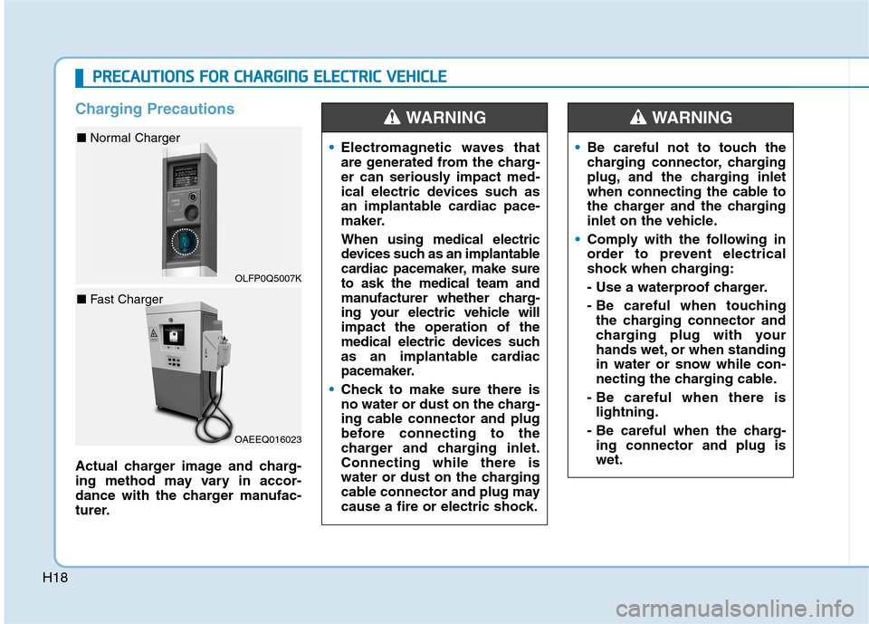 Hyundai Ioniq Electric 2017 Owners Guide H18
Charging Precautions
Actual charger image and charg- 
ing method may vary in accor-
dance with the charger manufac-
turer.
Electromagnetic waves that 
are generated from the charg-
er can seriousl