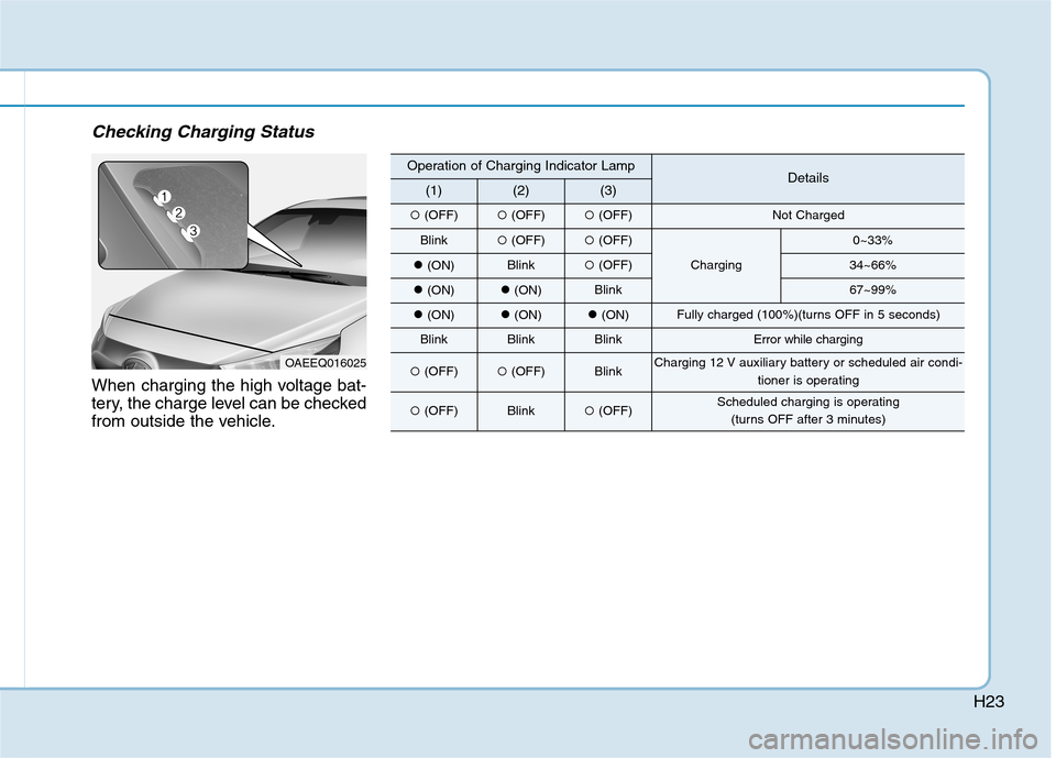 Hyundai Ioniq Electric 2017  Owners Manual H23
Checking Charging Status
When charging the high voltage bat- 
tery, the charge level can be checked
from outside the vehicle.
OAEEQ016025
Operation of Charging Indicator LampDetails(1)(2)(3)
�(OFF