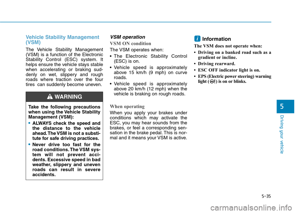 Hyundai Ioniq Electric 2017  Owners Manual 5-35
Driving your vehicle
5
Vehicle Stability Management (VSM)
The Vehicle Stability Management (VSM) is a function of the Electronic
Stability Control (ESC) system. It
helps ensure the vehicle stays 