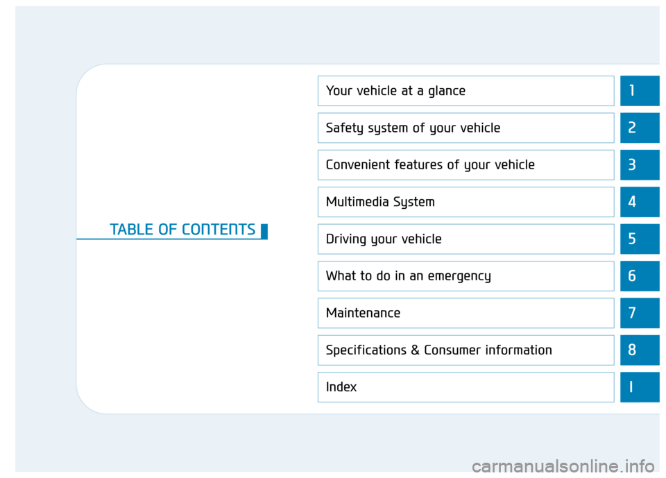 Hyundai Ioniq Electric 2017  Owners Manual 1
2
3
4
5
6
7
8
I
Your vehicle at a glance
Safety system of your vehicle
Convenient features of your vehicle
Multimedia System
Driving your vehicle
What to do in an emergency
Maintenance
Specification