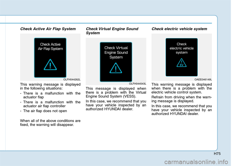 Hyundai Ioniq Electric 2017  Owners Manual H75
Check Active Air Flap System
This warning message is displayed 
in the following situations: 
- There is a malfunction with theactuator flap 
- There is a malfunction with the actuator air flap co