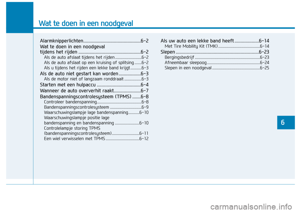 Hyundai Ioniq Electric 2017  Handleiding (in Dutch) Wat te doen in een noodgeval
Alarmknipperlichten...............................................6-2 
Wat te doen in een noodgeval  
tijdens het rijden ..................................................