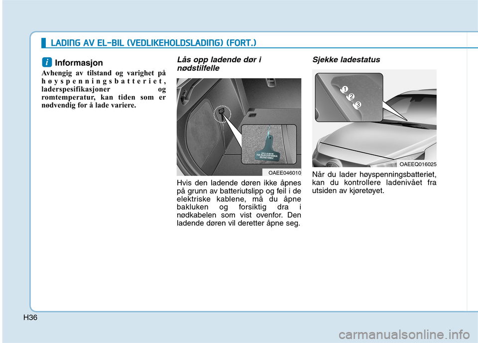 Hyundai Ioniq Electric 2017  Brukerhåndbok (in Norwegian) H36
LLAA DDIINN GG  AA VV  EE LL-- BB IILL   (( VV EEDD LLIIKK EEHH OO LLDD SSLLAA DDIINN GG))  (( FF OO RRTT..))
Informasjon 
Avhengig av tilstand og varighet på 
høyspenningsbatteriet,
laderspesif