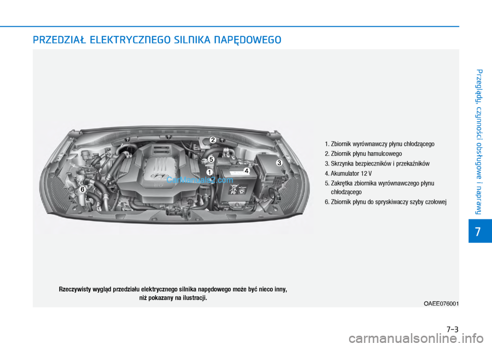 Hyundai Ioniq Electric 2017  Instrukcja Obsługi (in Polish) 7-3
7
Przegl�dy, czynno�ci obs�ugowe i naprawy
PRZEDZIA� ELEKTRYCZNEGO SILNIKA NAP�DOWEGO 
1.  Zbiornik wyrównawczy p�ynu c\f�odz�ce\bo
2.   Zbiornik p�ynu \famulcowe\bo
3.   Skrzynka bezpieczników 