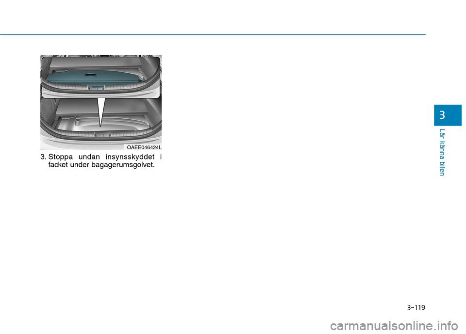 Hyundai Ioniq Electric 2017  Ägarmanual (in Swedish) 3-119
Lär känna bilen
3
3. Stoppa undan insynsskyddet ifacket under bagagerumsgolvet.
OAEE046424L  