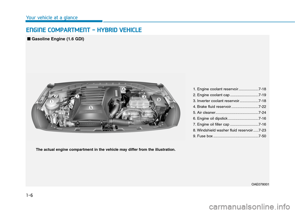 Hyundai Ioniq Hybrid 2020 User Guide 1-6
Your vehicle at a glance
E EN
NG
GI
IN
NE
E 
 C
CO
OM
MP
PA
AR
RT
TM
ME
EN
NT
T 
 -
- 
 H
HY
YB
BR
RI
ID
D 
 V
VE
EH
HI
IC
CL
LE
E
1. Engine coolant reservoir ...................7-18
2. Engine coo